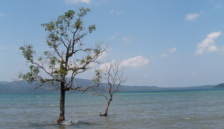 chidiya-tapu-port-blair-andaman-india